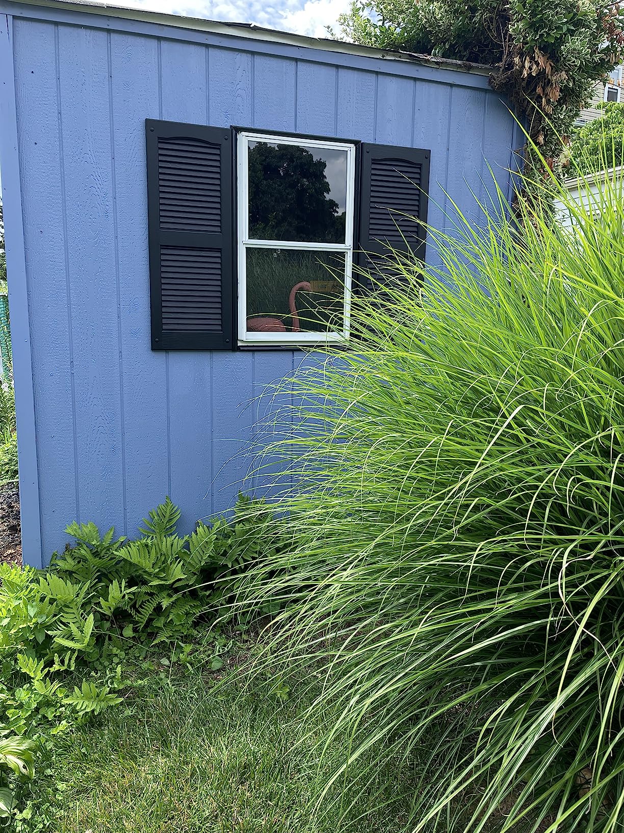 11/mo Finance Polaris Homeside Open Louver Vinyl Shutters (1 Pair) 141/2in. x 59in. 050