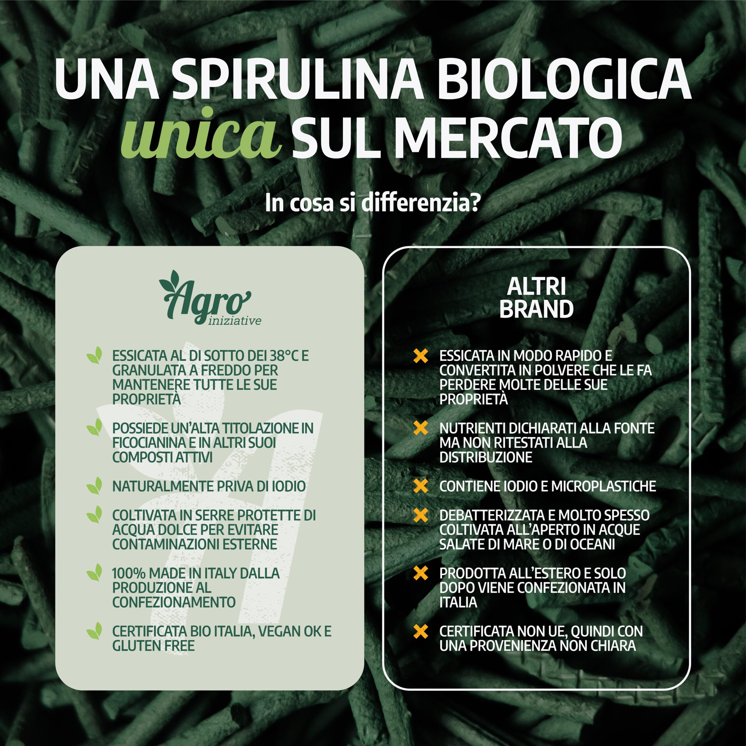 AGROINIZIATIVE - Spirulina Biologica Granulare Naturale Made in Italy, Superfood Ricco di Proteine Ferro e Vitamine, Integratore Vegano Energia, Detox e Benessere