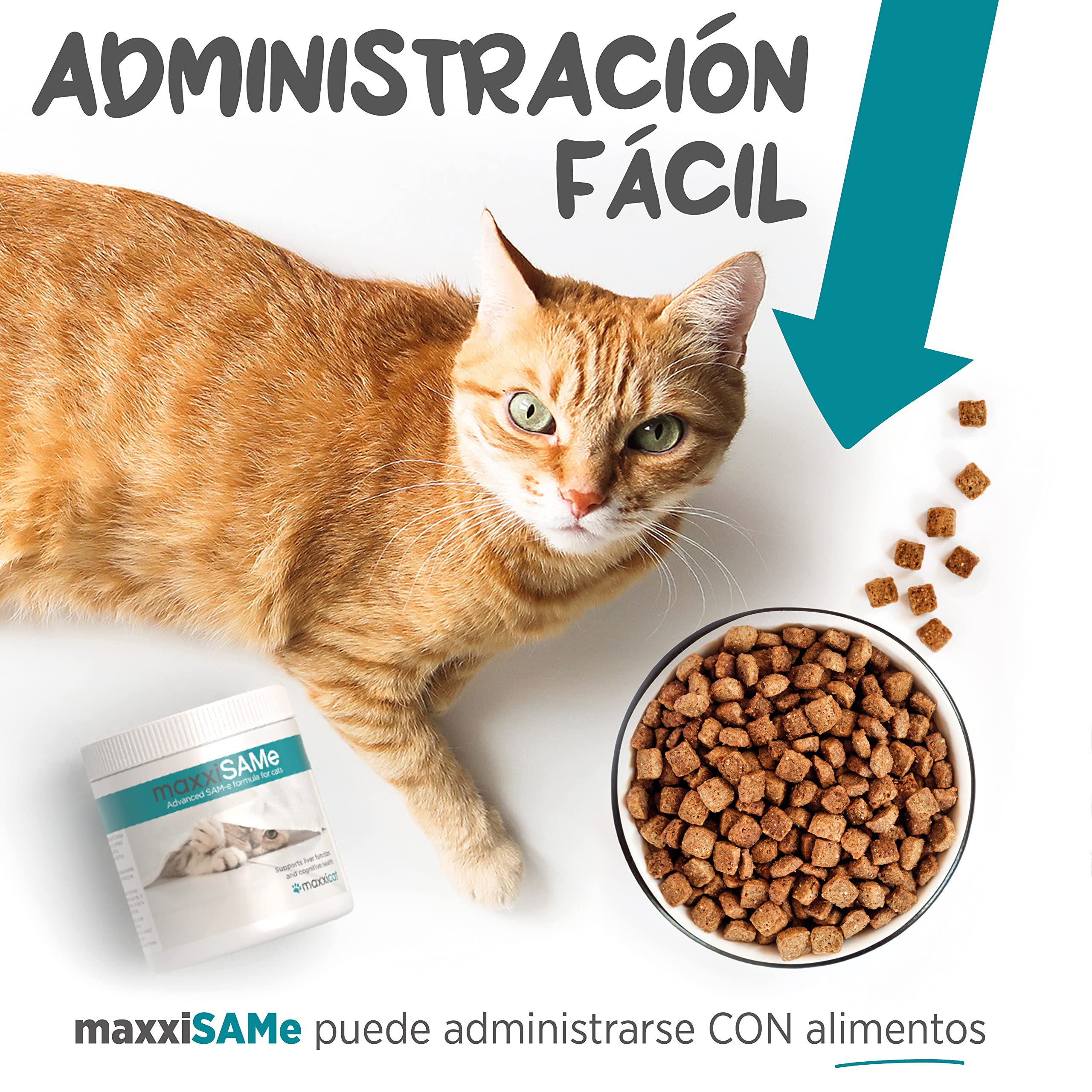 maxxipaws maxxiSAMe Suplemento en Polvo Avanzado de Sam-e – Apoyo para el Hígado, la Cognición y Las Articulaciones para Gatos, 90g