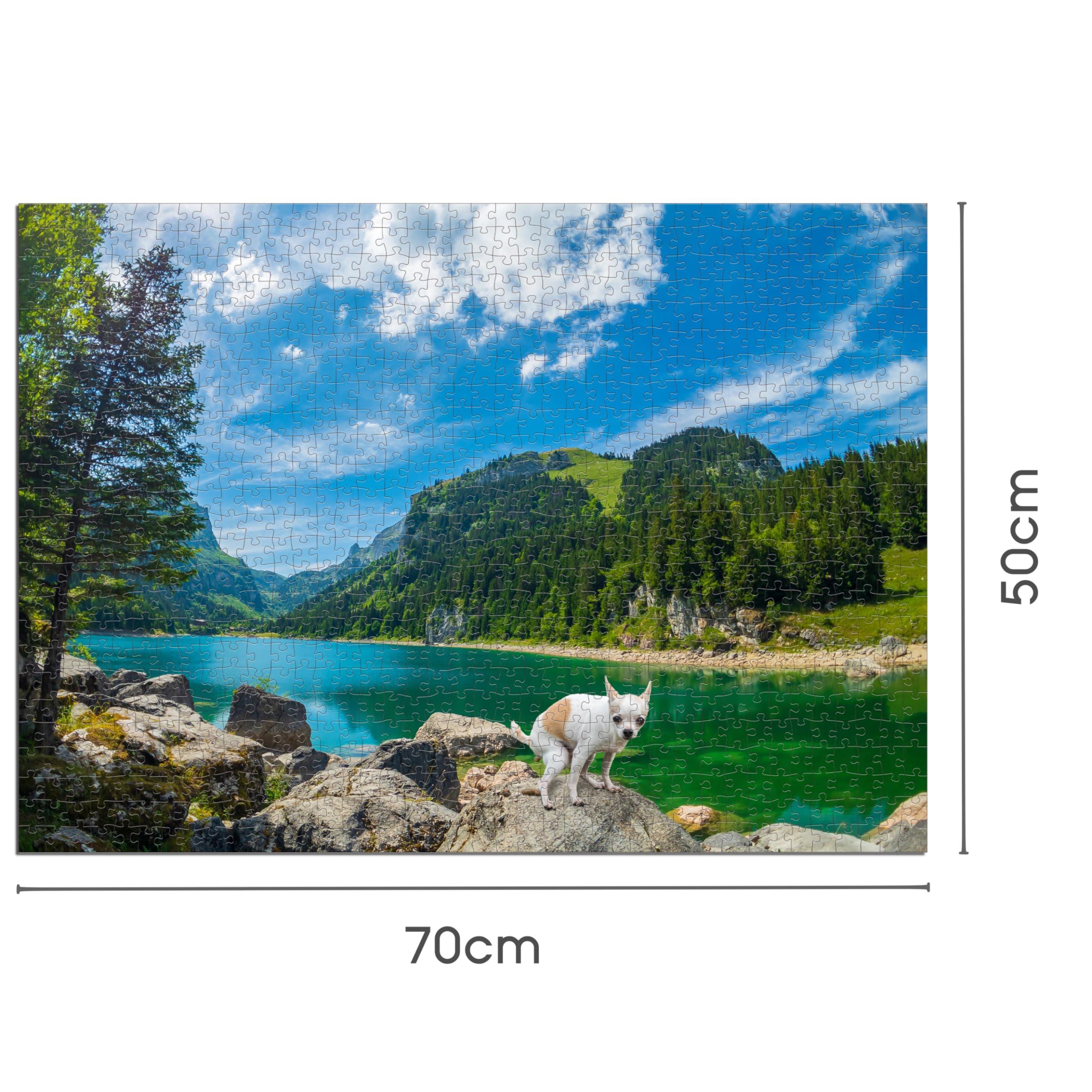 Rompecabezas De Paisaje Para Adultos, 1000 Piezas, Lago Nube, Alivio Del Estrés, Juguete Intelectual, Juego Educativo, Decoración Del Hogar, Desafío Educativo, 1000 Piezas (29.5 X 19.7 In