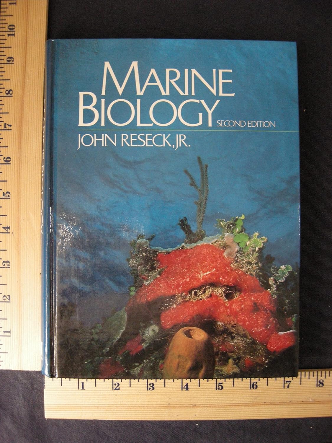 Amazon.com: Marine Biology: 9780835944540: Reseck, John: Books