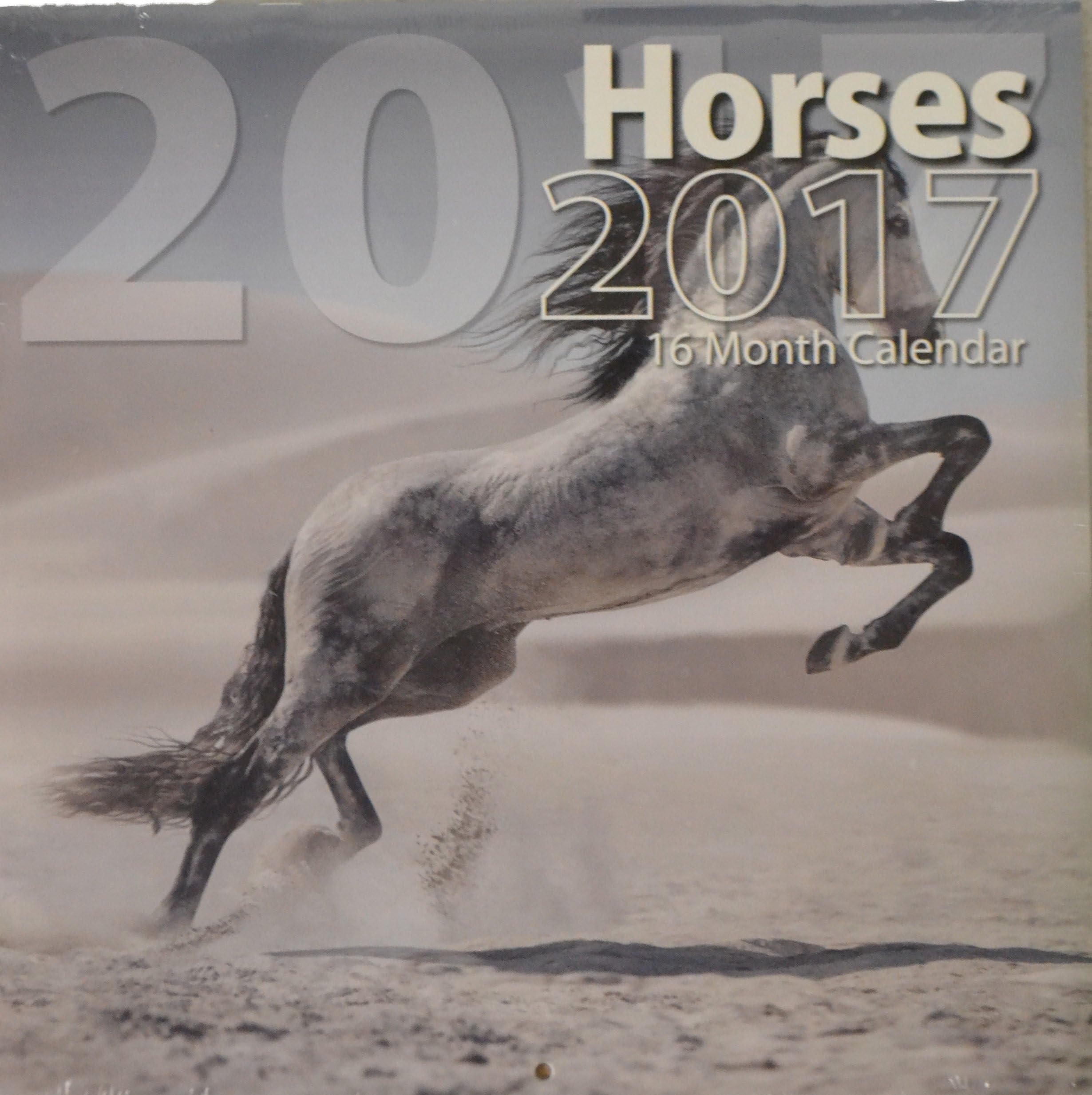 2017 16-Month 12 x 12 Wall Calendar - Horses