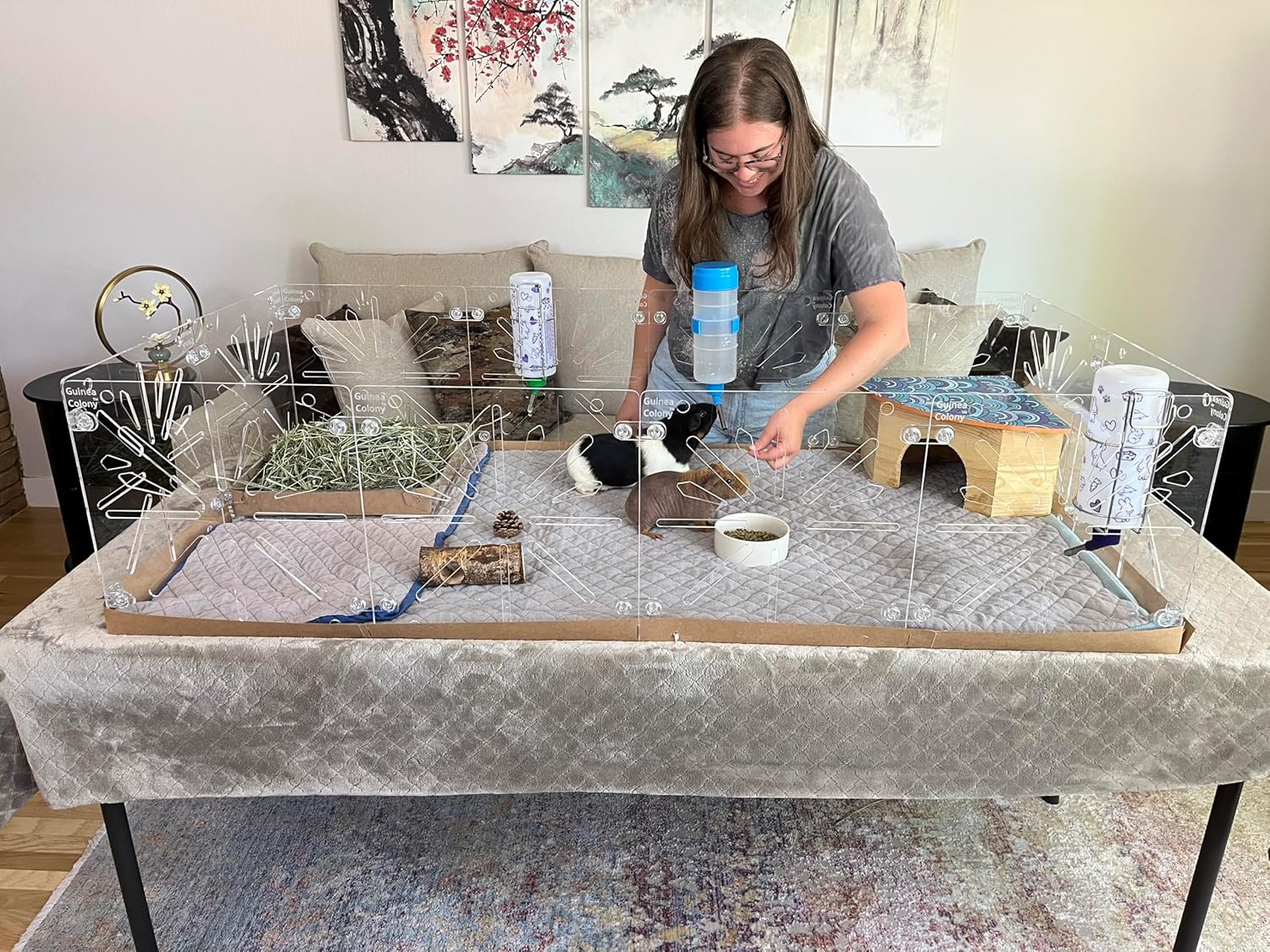 Guinea Colony™ Starter Kit - Acrylic Guinea Pig Cage (2x4 (10.89 sq. feet))