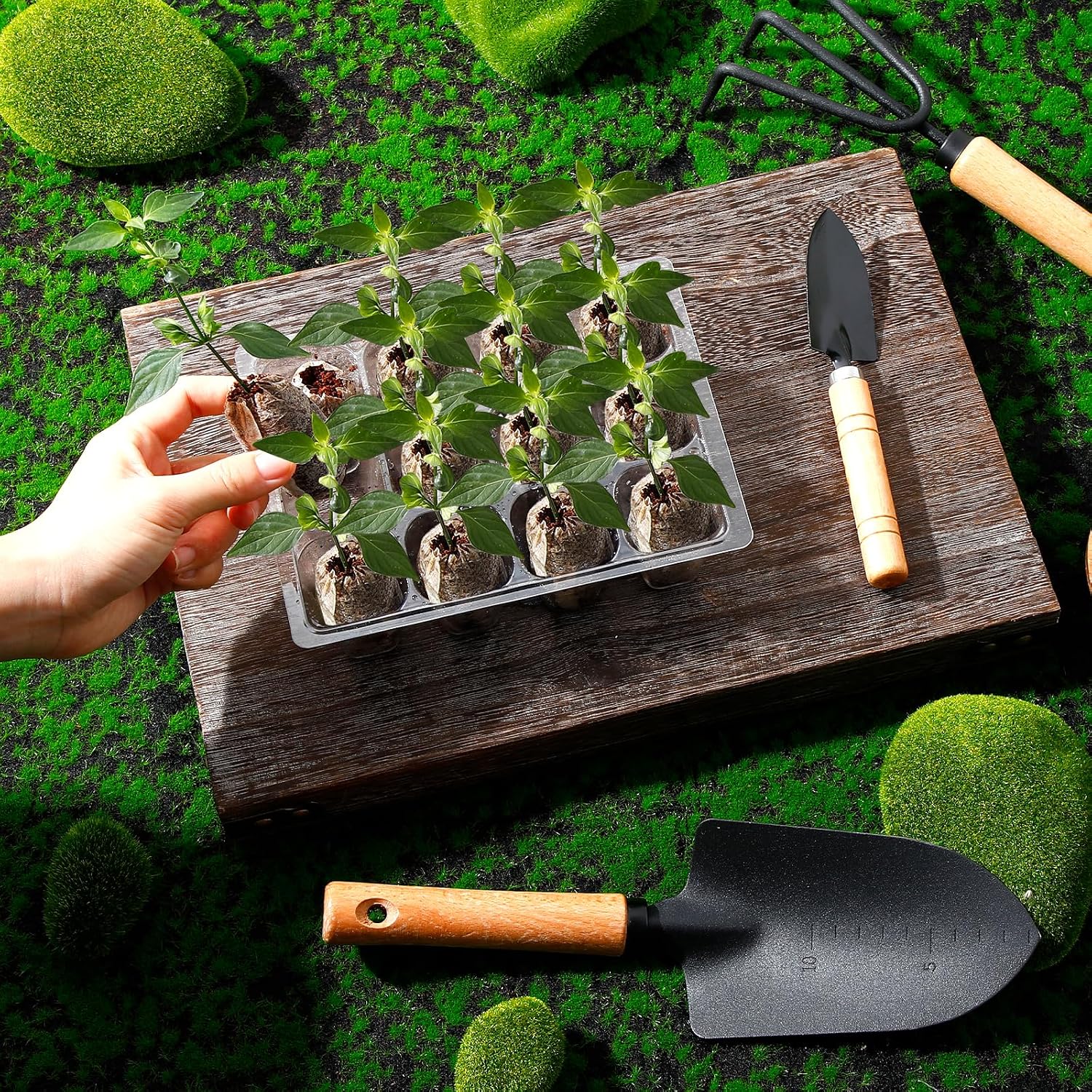 SiliFine 6 Pack Seed Starter Tray with 72 Pcs Peat Pellets, Seeding Starter Kit (72 Cells Total Tray) with Humidity Dome, Soil Plant Germination Tray Kit for Flower Vegetable(Black)