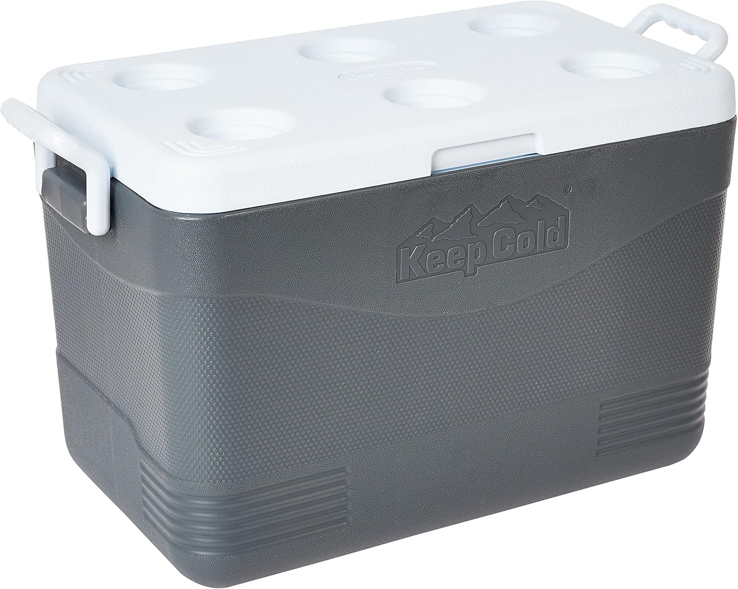 Cosmoplast Keep Cold Plastic Picnic Icebox 46 Liter Grey Buy Online