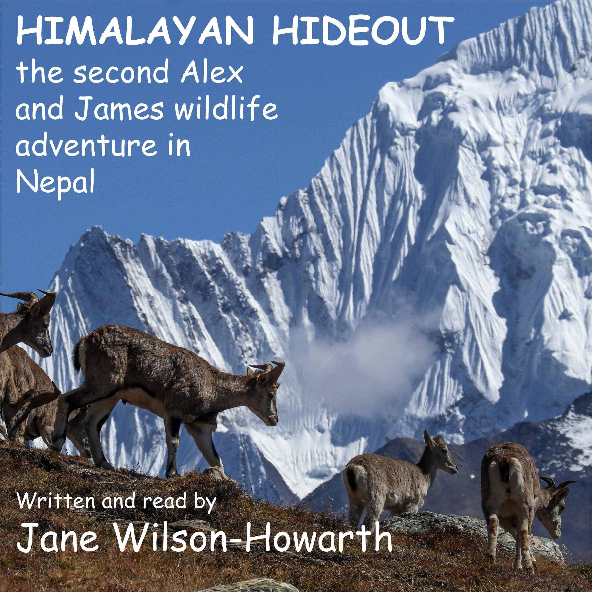 Cover art for Himalayan Hideout
