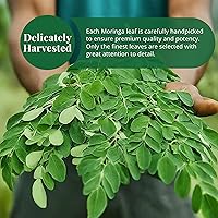 Vista 4 de Akshit Hojas de Moringa secas, Hojas De Moringa Secas, Té de Hojas Frescas, 7.8 oz, Hojas Naturales de MoringaOleifera, Sin Aditivos, Sin OGM, Té