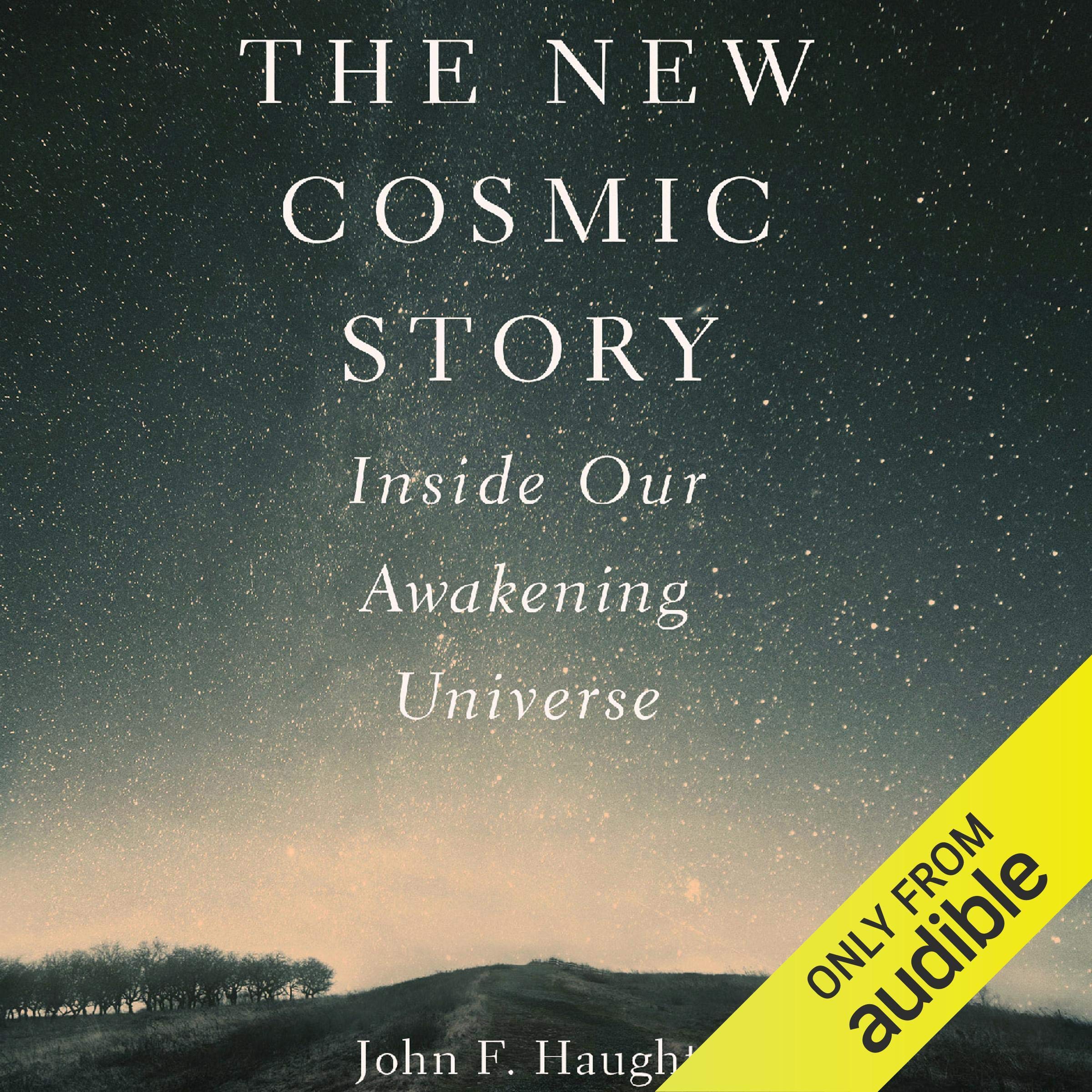 Cover art for The New Cosmic Story