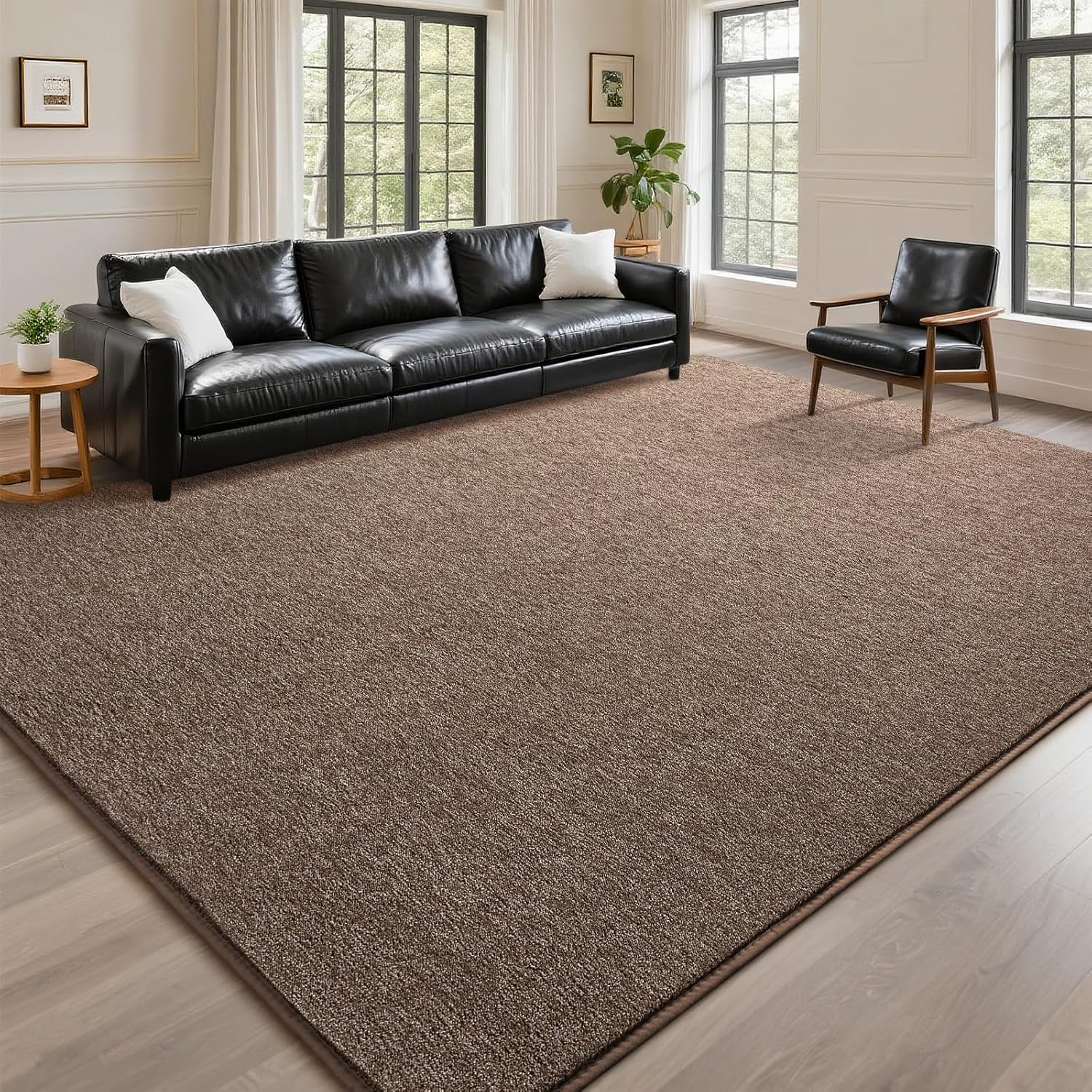 DweIke Rugs for Bedroom Living Room 4x6 ft Brown Area Rug Washable Memory Foam Indoor Carpet Modern Non-Slip