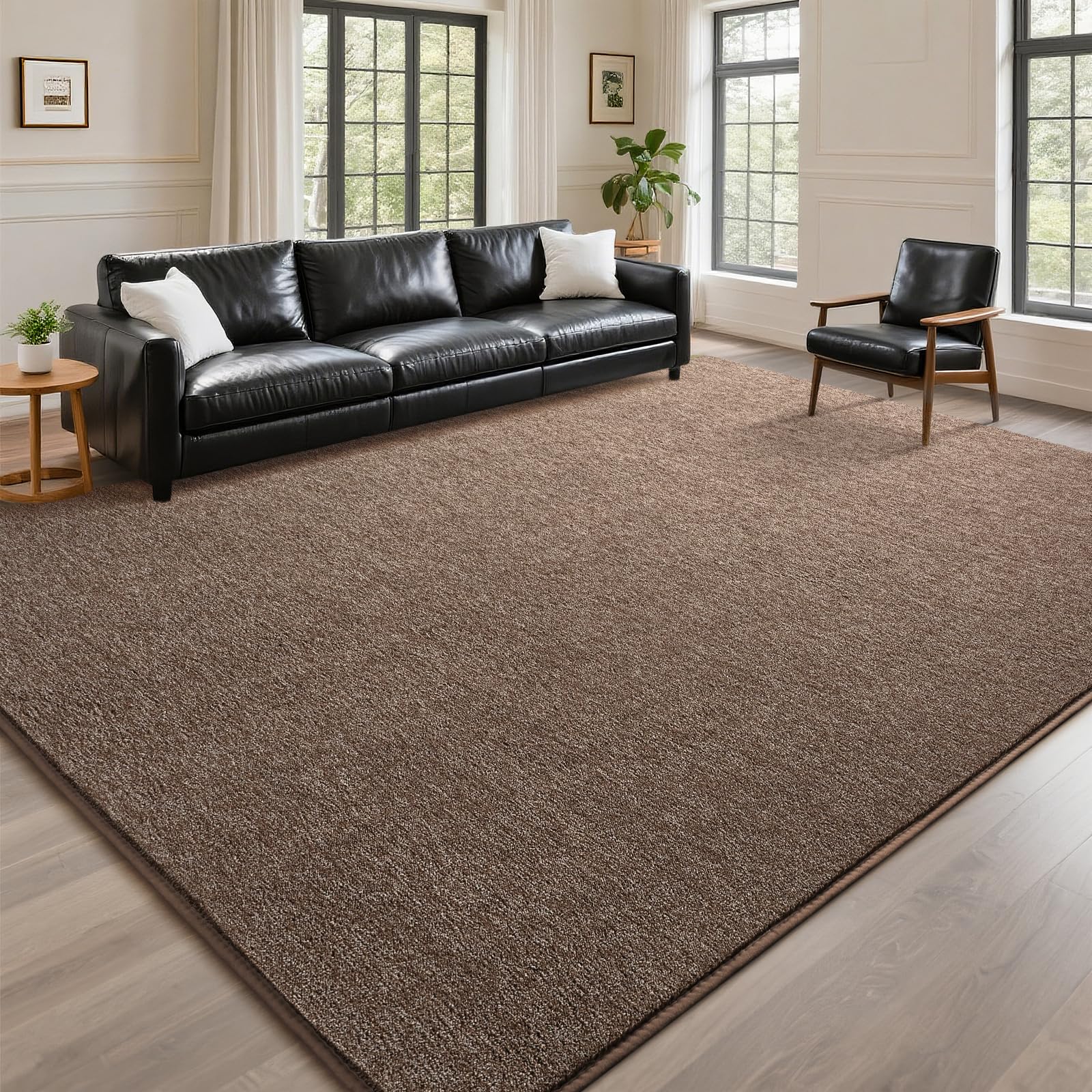 DweIke Rugs for Bedroom Living Room 4x6 ft Brown Area Rug Washable Memory Foam Indoor Carpet Modern Non-Slip