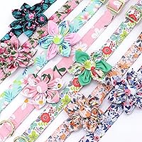 Vista 3 de Beirui Lindos collares para perras con patrones florales vibrantes, collar de perro hembra con flor para caminar, collar ajustable y duradero