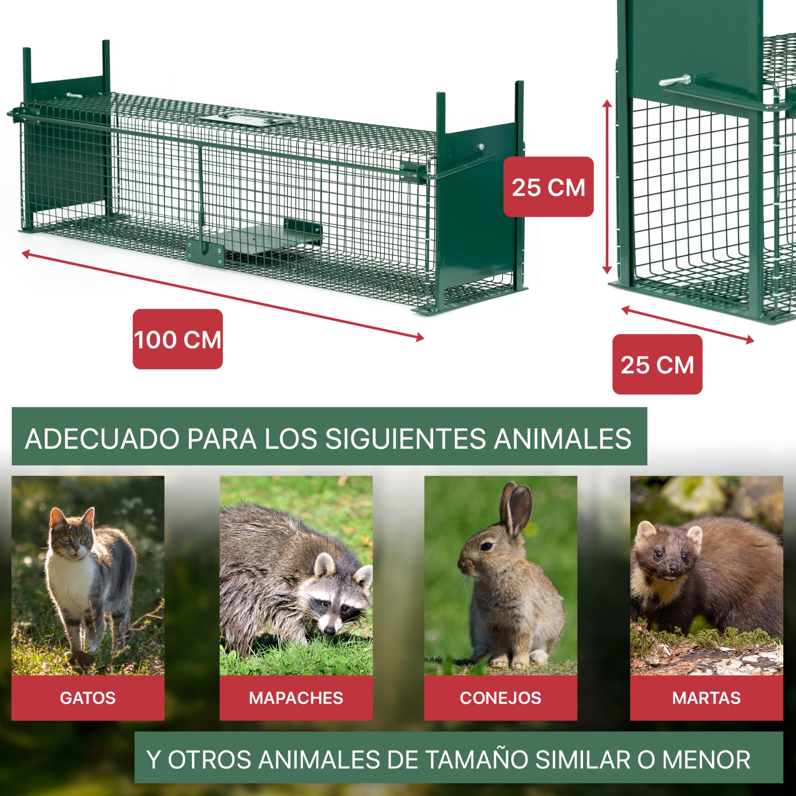 ITA Trampa para Animales Vivos 5007-100x25x25 cm - por Martas Gatos Ratas - 2 Puertas, Resistente al Tiempo, Reutilizable, Montada - Made in EU