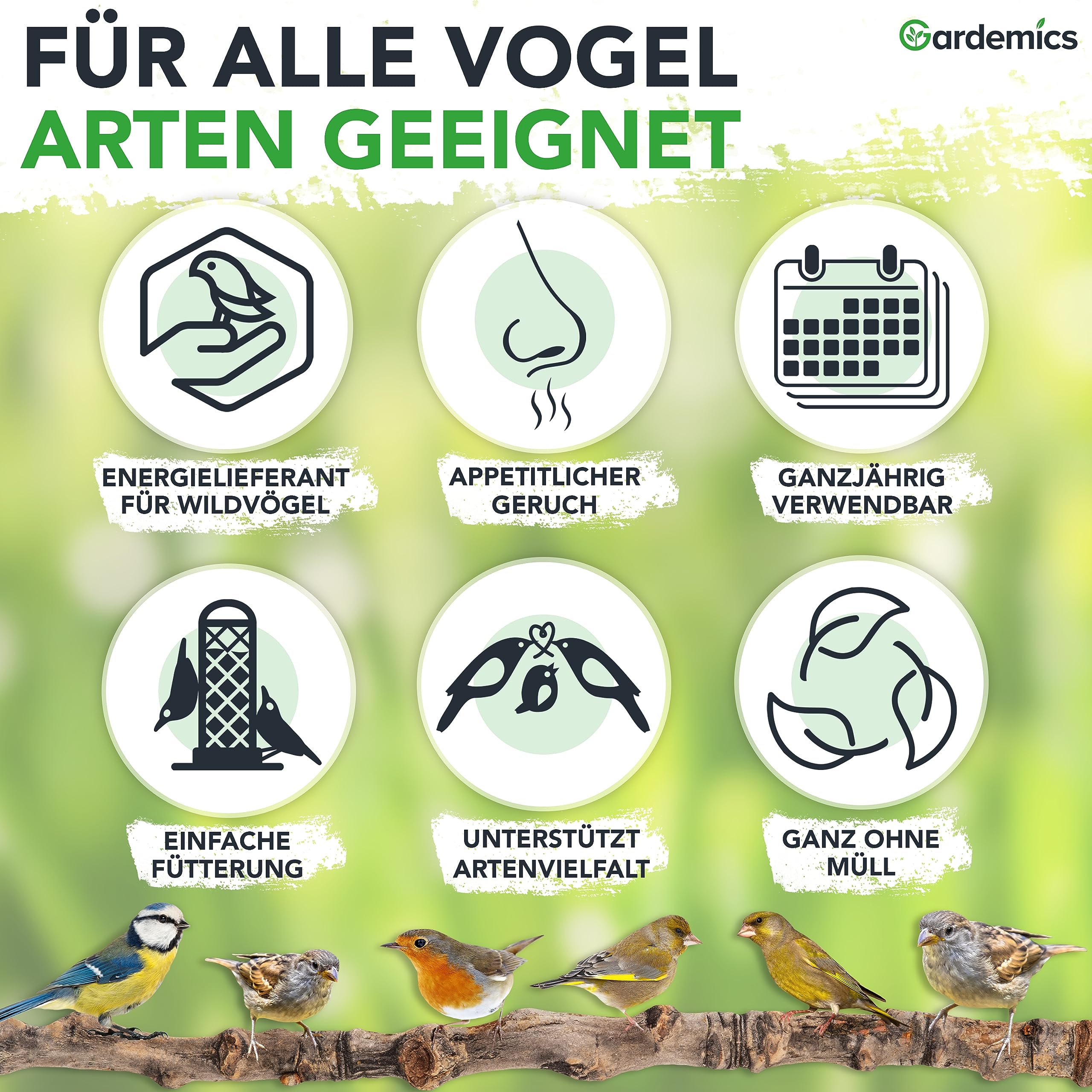 Gardemics Meisenknödel ohne Netz für Wildvögel, Vogelknödel [100 Stück] [9 kg] Wildvogelfutter für Artenvielfalt im Garten | Ganzjahresfutter