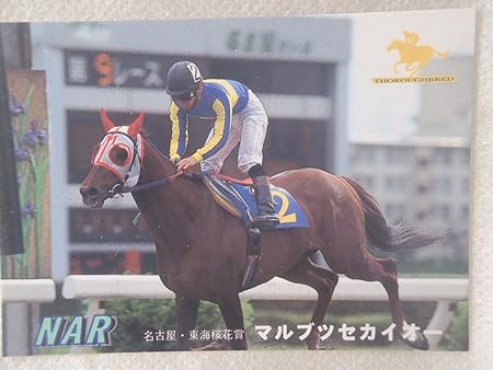 Amazon 競馬カード メモリアルカード Thoroughbred サラブレッド マルブツセカイオー カードゲーム トランプ おもちゃ