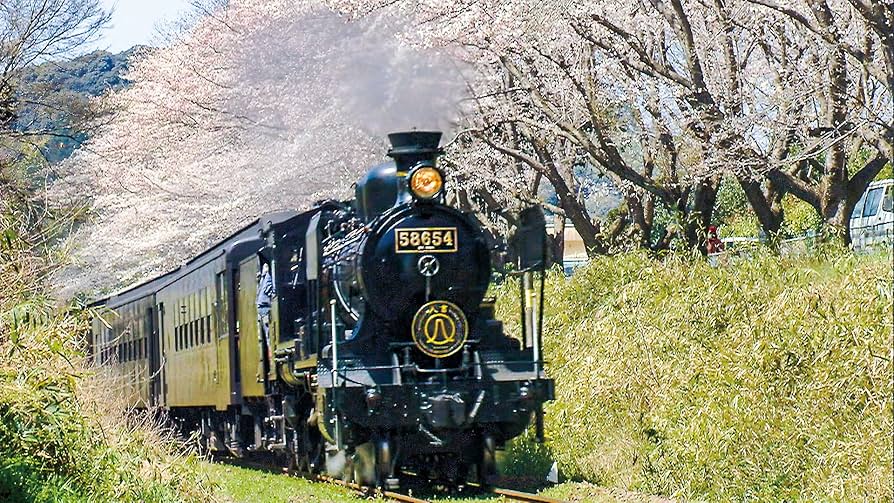 SLは永遠に（MEMORY of STEAM LOCOMOTIVE） SLは永遠に（MEMORY of STEAM LOCOMOTIVE） Amazon.com: SL
