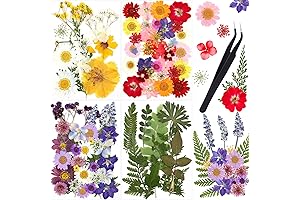 Nuanchu Pressed Flowers Natural Dried Flowers Bulk for Resin Jewelry Nail Floral Crafts