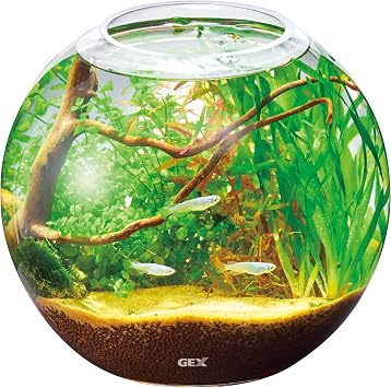 GEX AQUARIUM Glass Aqua Sphere-N Aquarium, Small Aquarium, Aquatic Plant, Terrarium