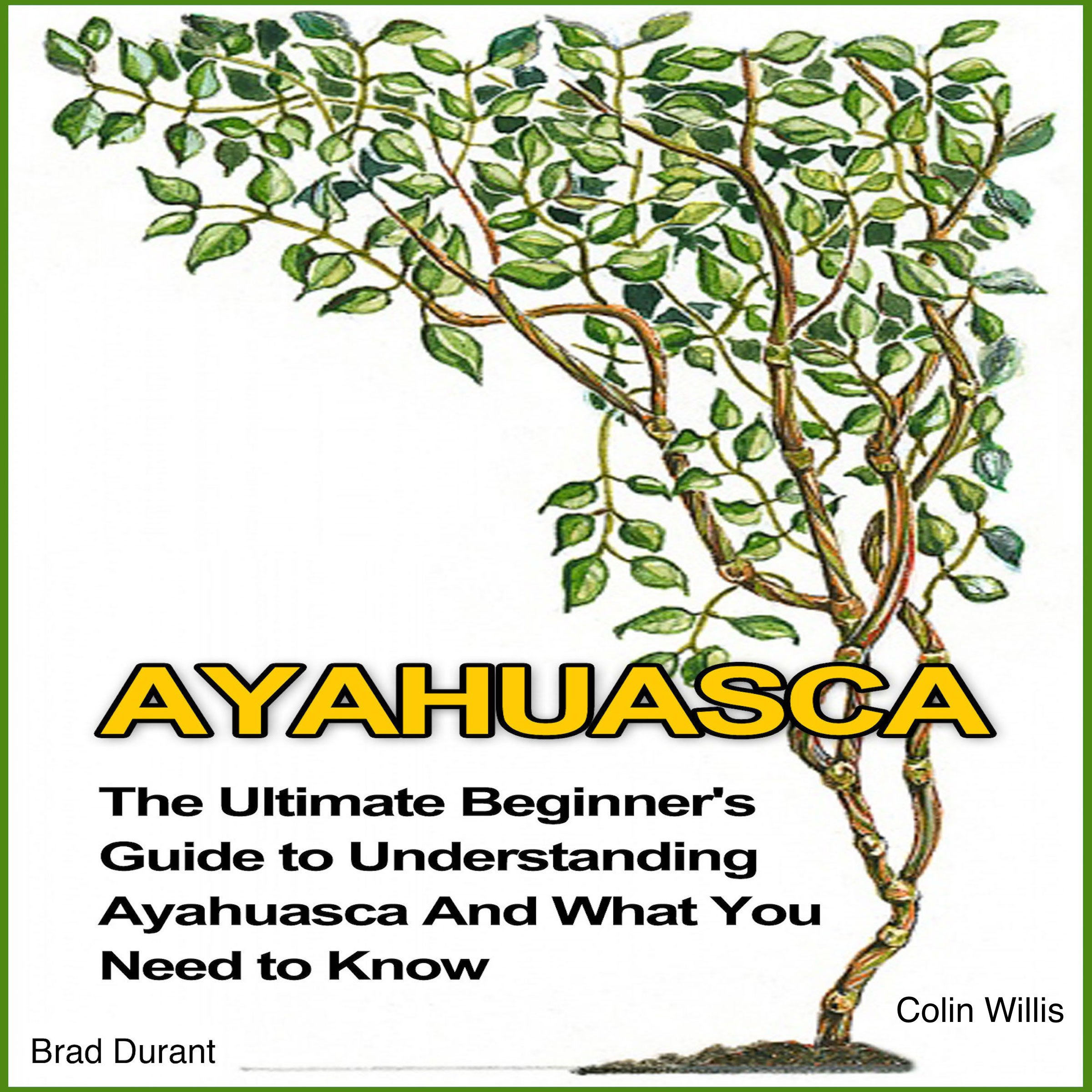Cover art for Ayahuasca