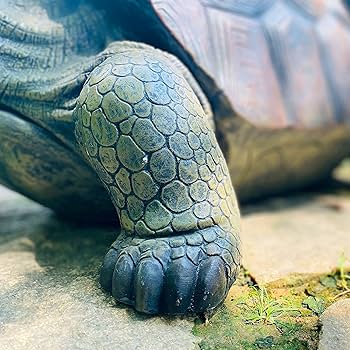 Amazon.co.jp: Houssy 大きなカメの庭像 27.9インチ 巨大な爬虫類の亀