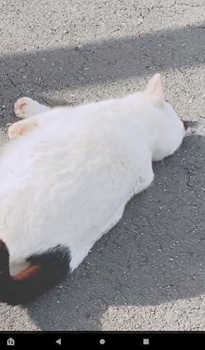 Player de Vídeo com Zoom