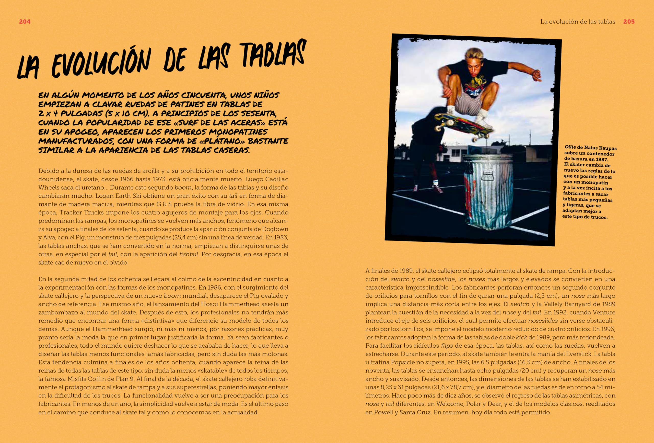 1.000 skateboards (Ocio y deportes)