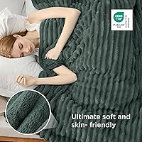 Vista 322 de Bedsure GentleSoft Twin Blanket for Couch - Cozy Soft Blankets for Women, Cute Small Fleece Throws for Girls, Light Grey, 60x80 Inches