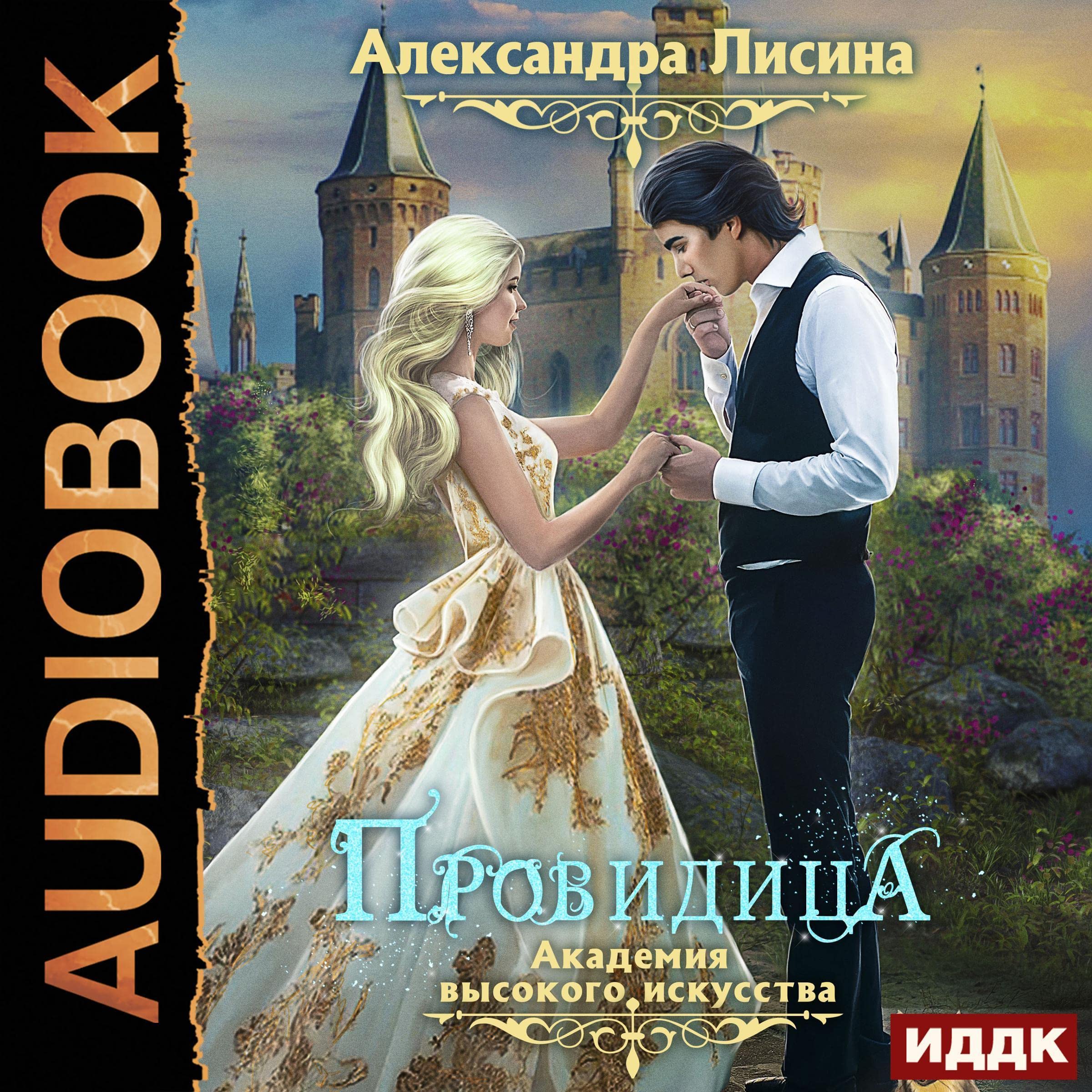 Cover art for Провидица [Seer]: Академия высокого искусства. Книга 5