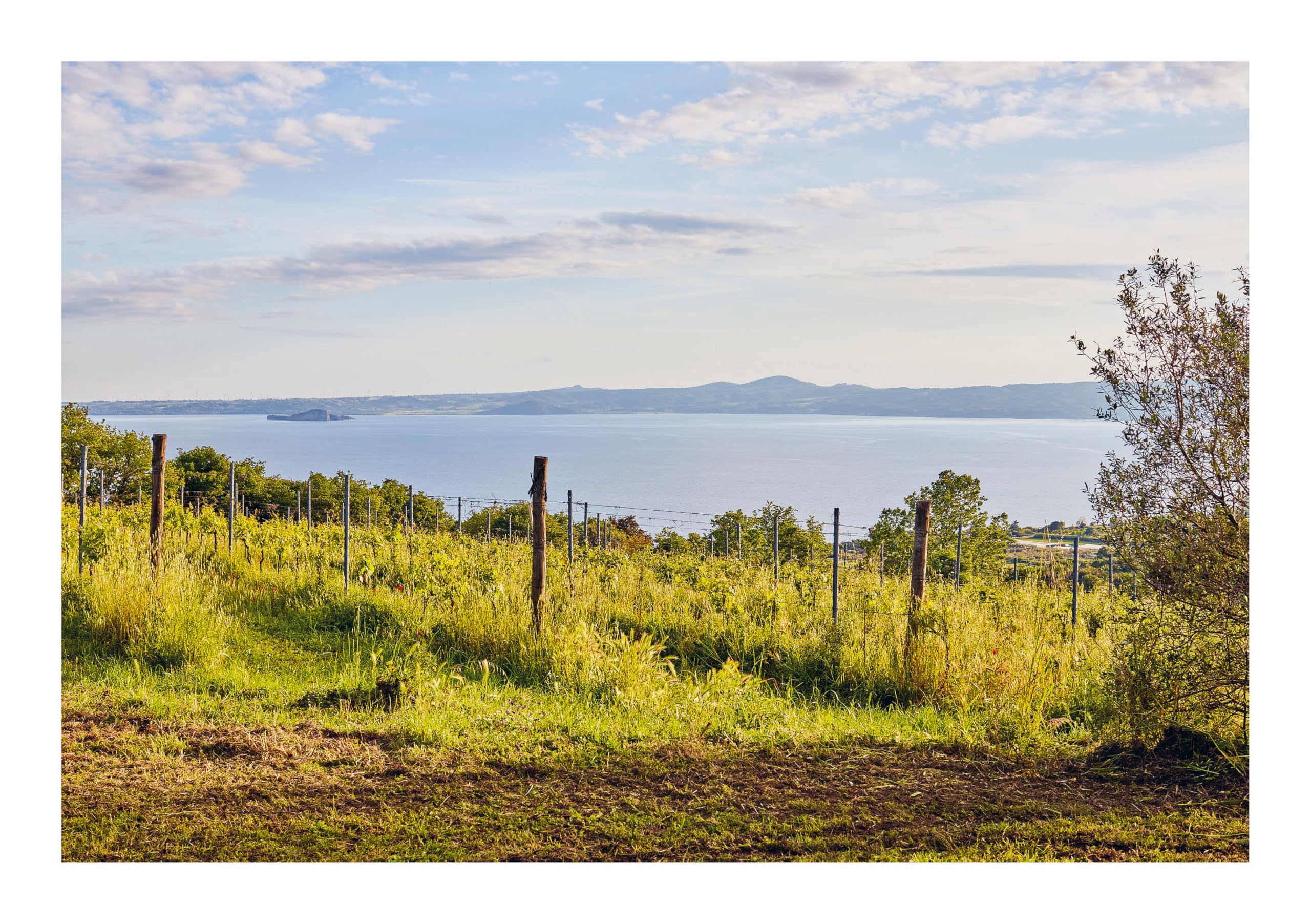 How to Drink Natural Wine: An expert guide to choosing, tasting and enjoying natural wine