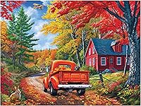 RoseArt Kodak Maine Road 350-Piece Jigsaw Puzzle - Scenic Autumn Landscape for Adults & Families