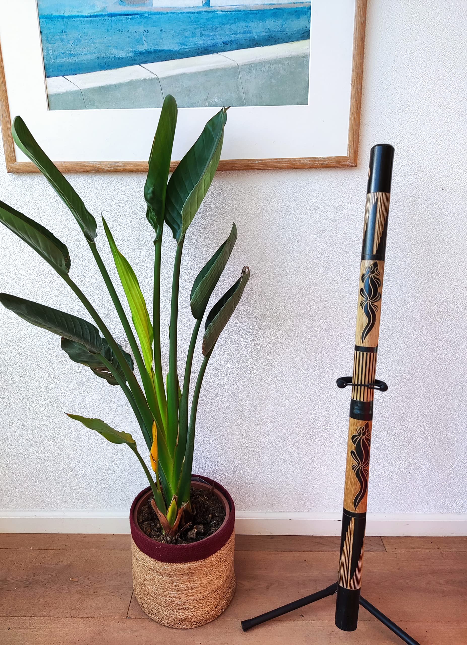 Australian Treasures bamboo didgeridoo, y compris le stand de didgeridoo