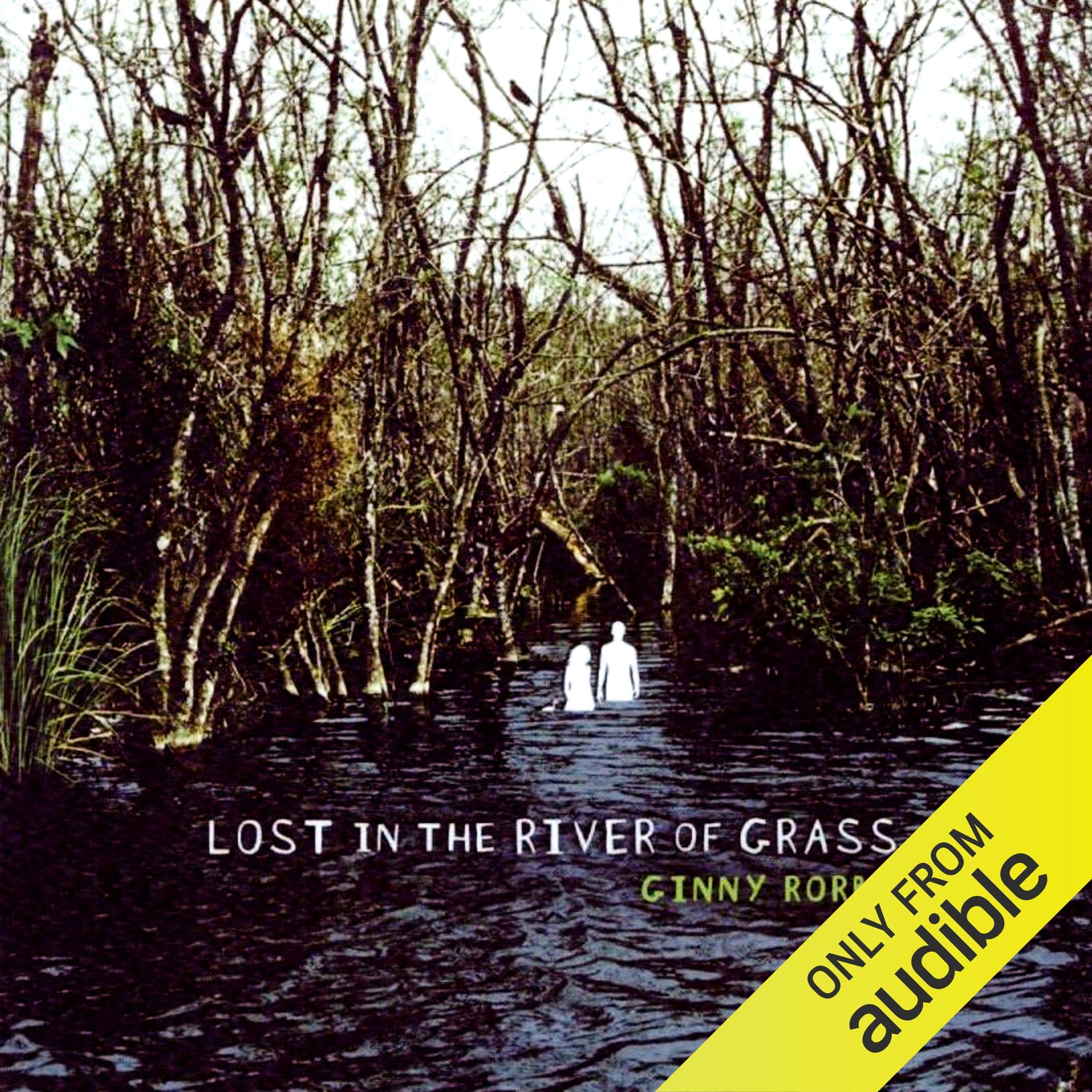 Cover art for Lost in the River of Grass