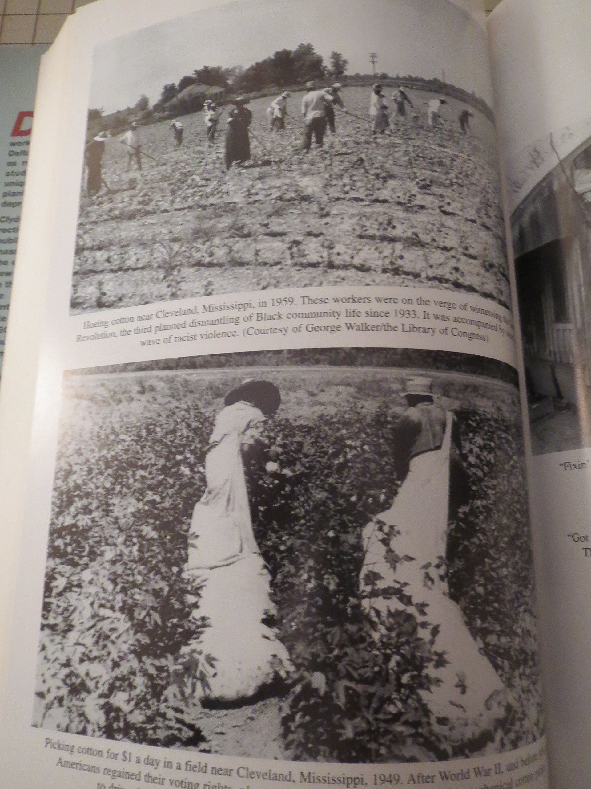 Development Arrested: The Blues and Plantation Power in the Mississippi Delta (Haymarket)