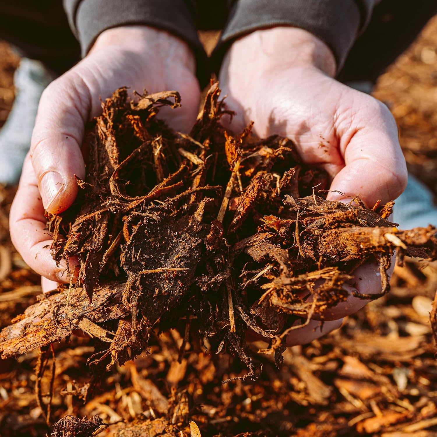 GARDENWISE Premium Gold Wood Mulch for Landscaping, Gardens, Lawns, Potting Media, and Potted Plants (0.5 CF - 14 L - 15 QTS)