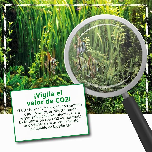 Foto 6 de 7 de Fertilizante Bio CO2 Acuario 473 ml - Fuente Carbono Líquida