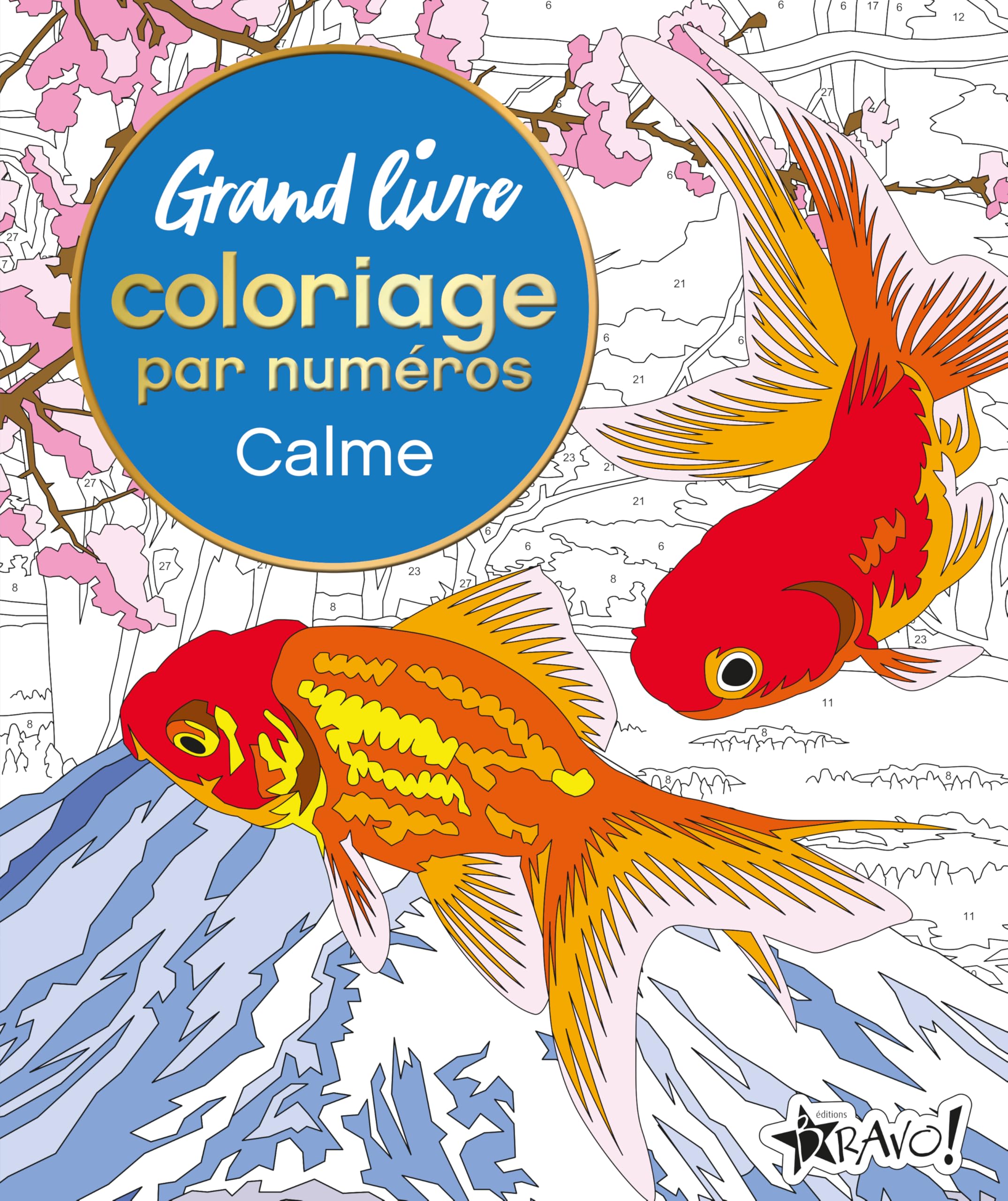 Grand livre coloriage par numéros - Calme