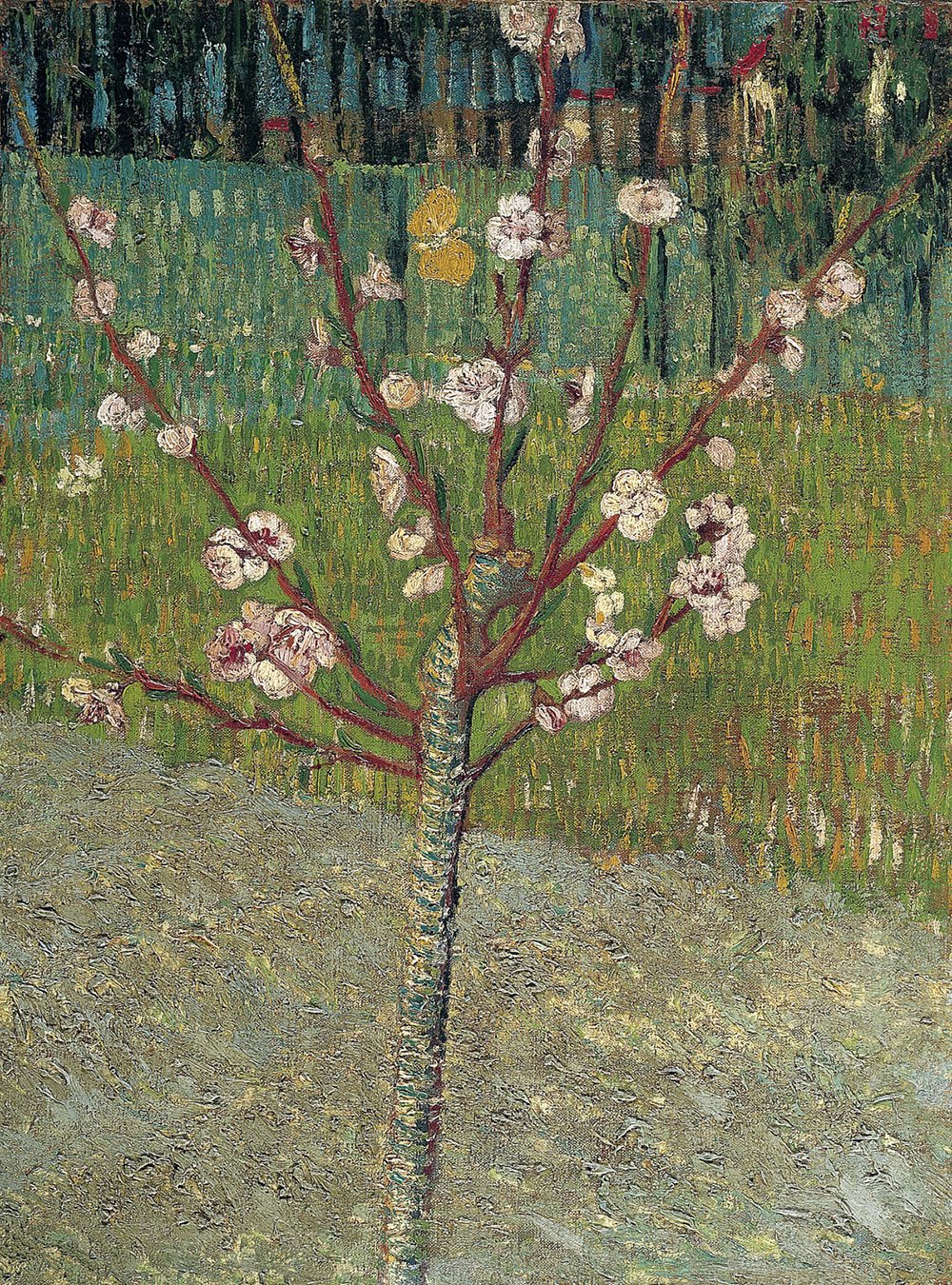 Affiche Van Gogh Amandier en fleurs XXL grand tableau mural salon moderne