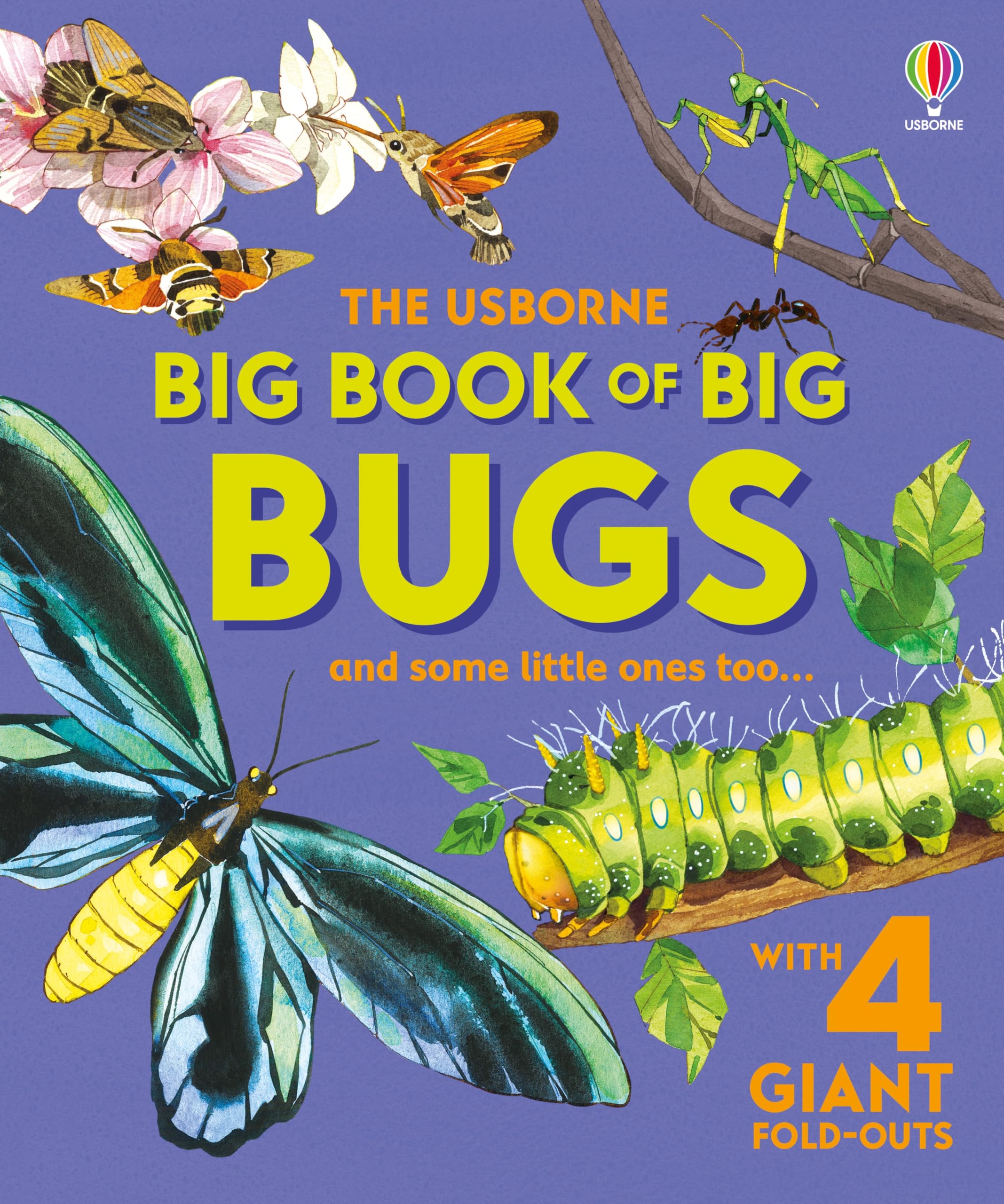 Big Book of Big Bugs (Big Books)