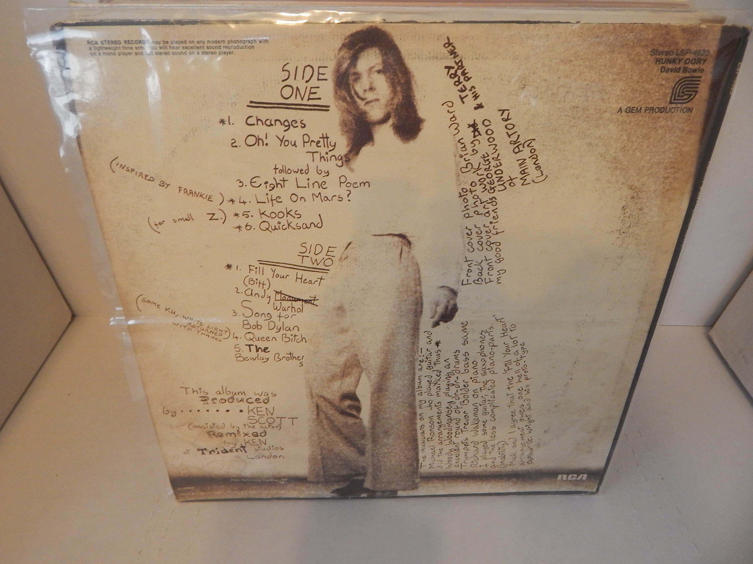 Hunky Dory