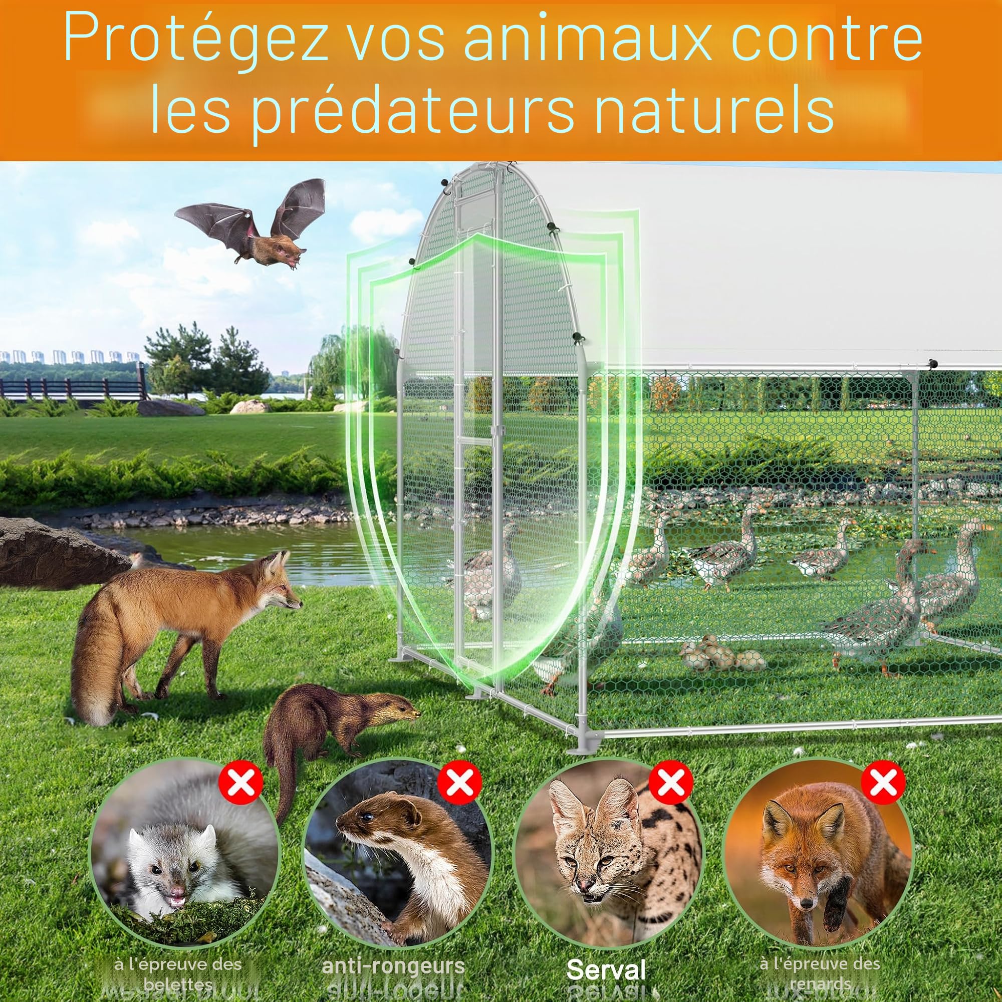 HENGMEI Poulailler 300 x 200 x 200 cm Enclos d'extérieur pour petits animaux en acier galvanisé Cage pour poules avec toit en polyéthylène Extérieur Enclos libre avec serrure