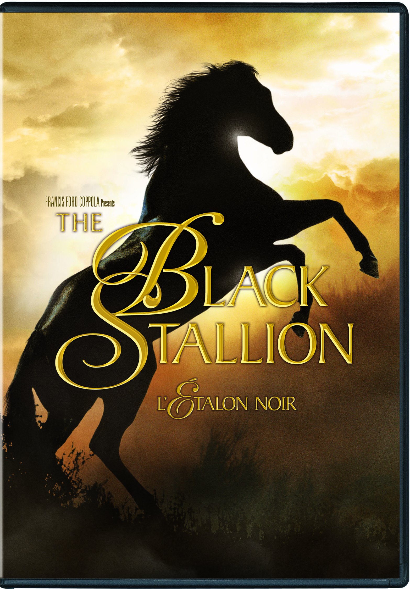 Black Stallion, The (Bilingual) [DVD]