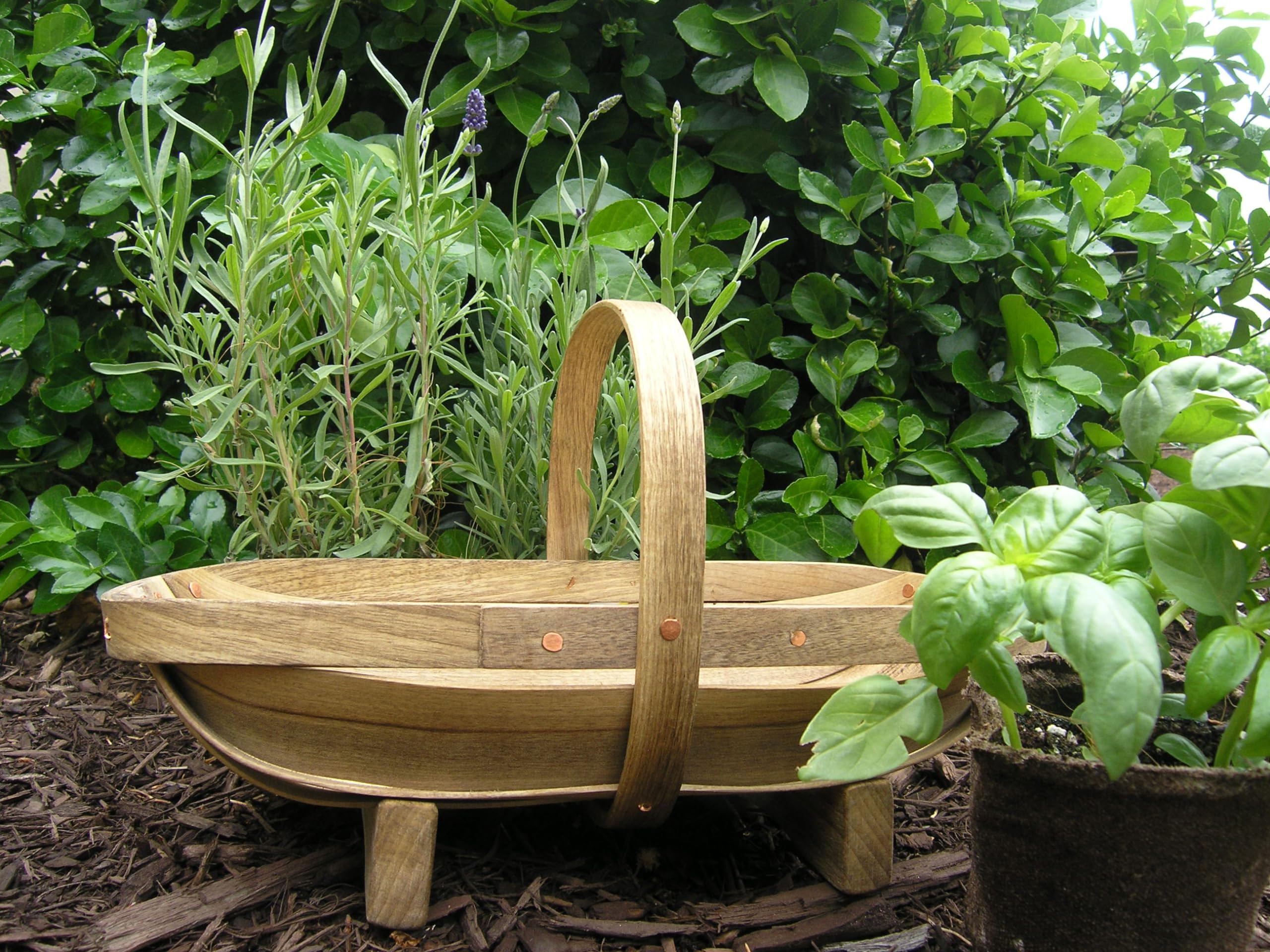 outtkitywi Handcrafted Myrtle Wood Garden Trug - Small