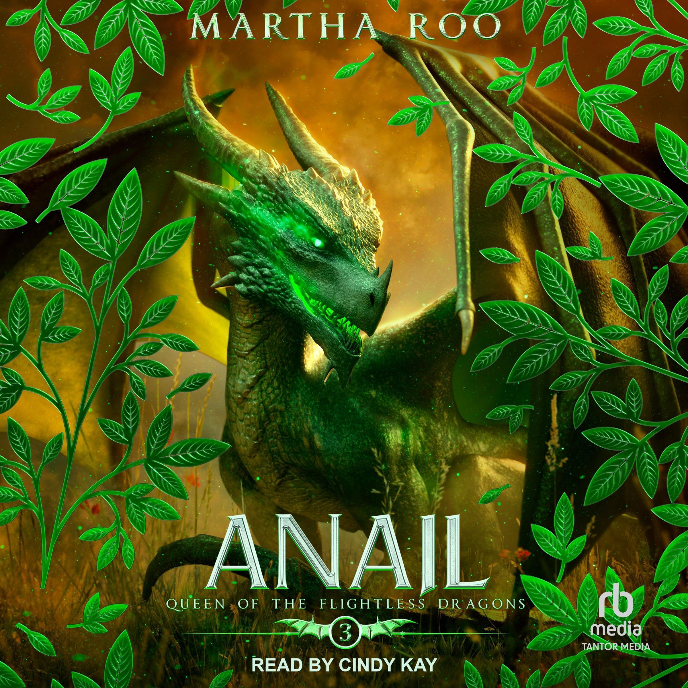 Cover art for Anail