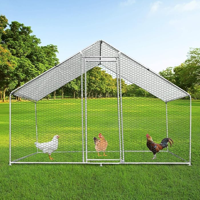 Buy Walk In Chicken Run Cage Coop 3m x 2m x 2m Dog Pen House Kennel