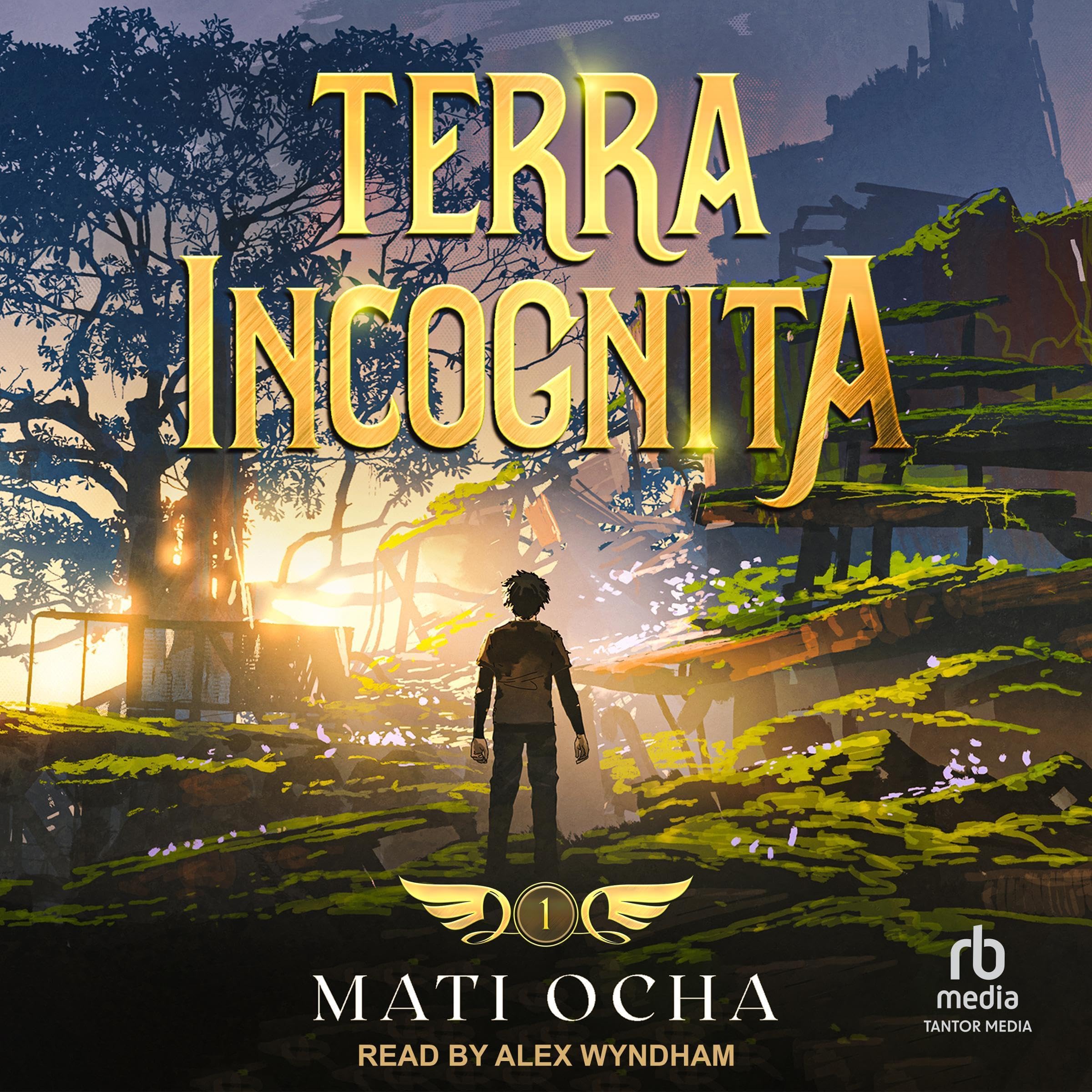 Cover art for Terra Incognita