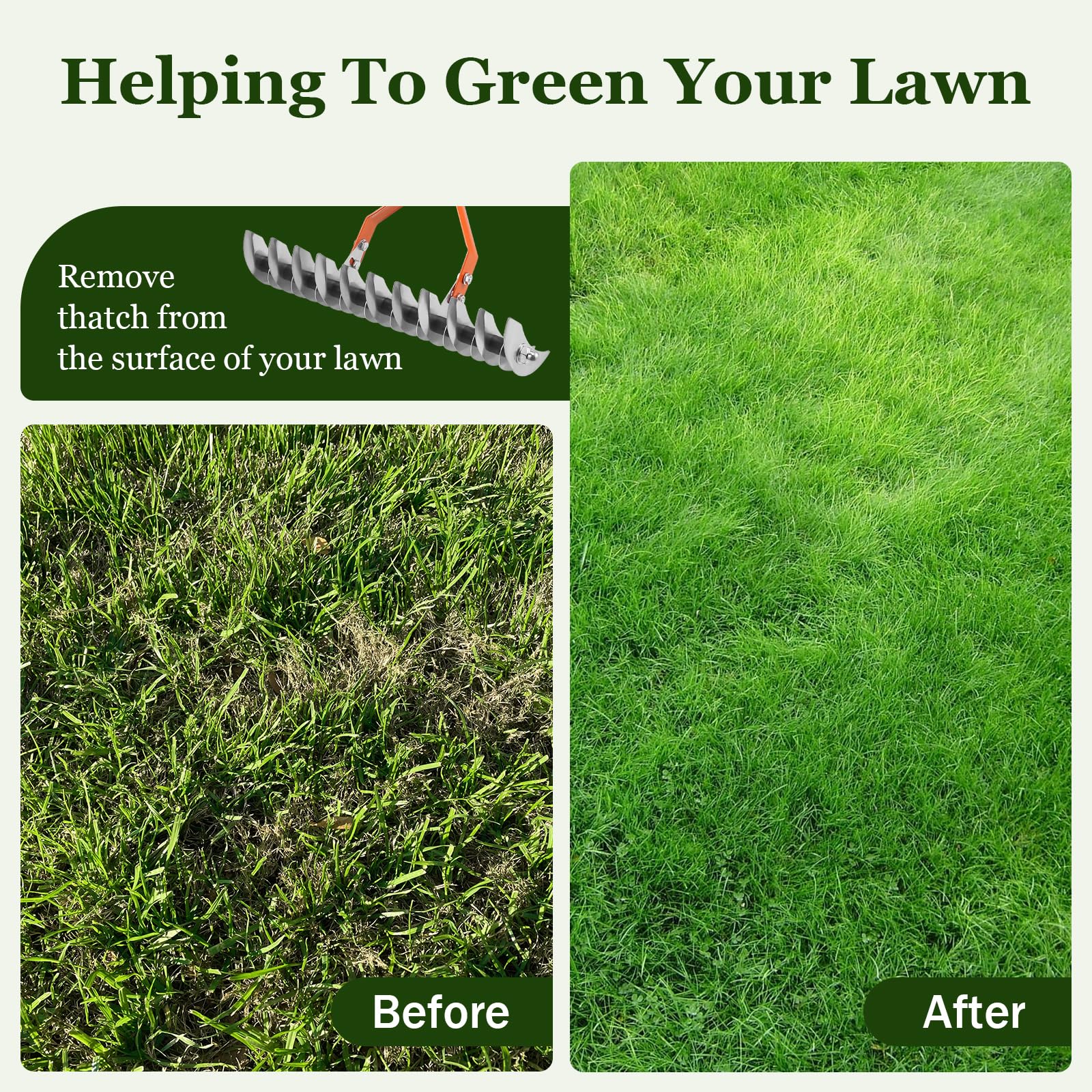 Gxpjycfob Thatch Rake, Scarifier for Lawn, Heavy Duty Thatching Rake ...