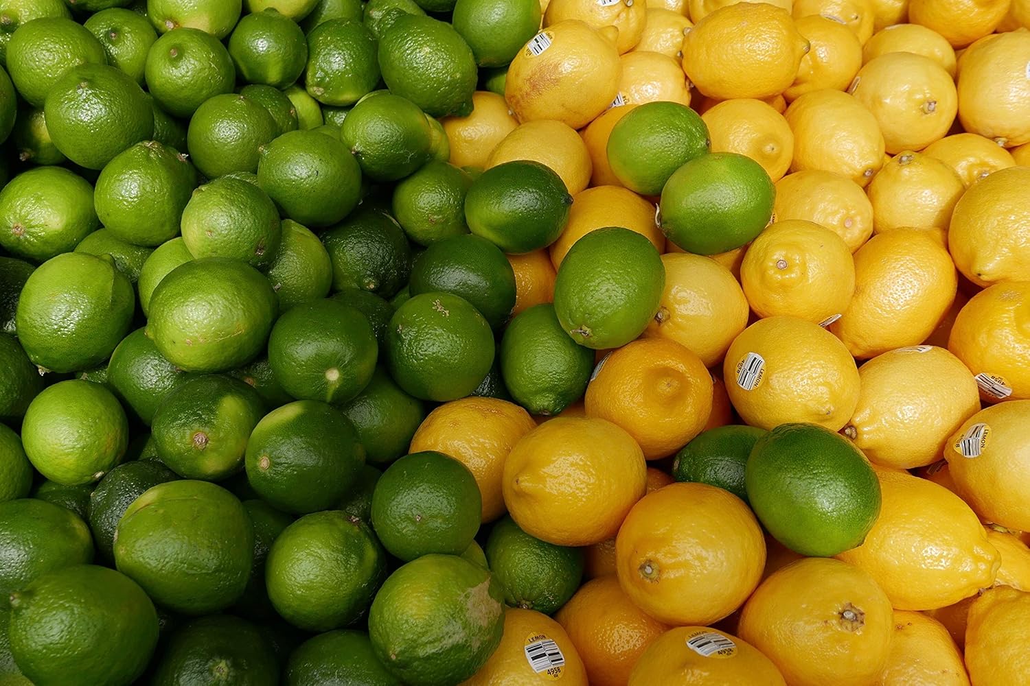 Kejora Fresh Lemons + Fresh Limes Bundle ( 3 lb lemon + 3 lb limes )