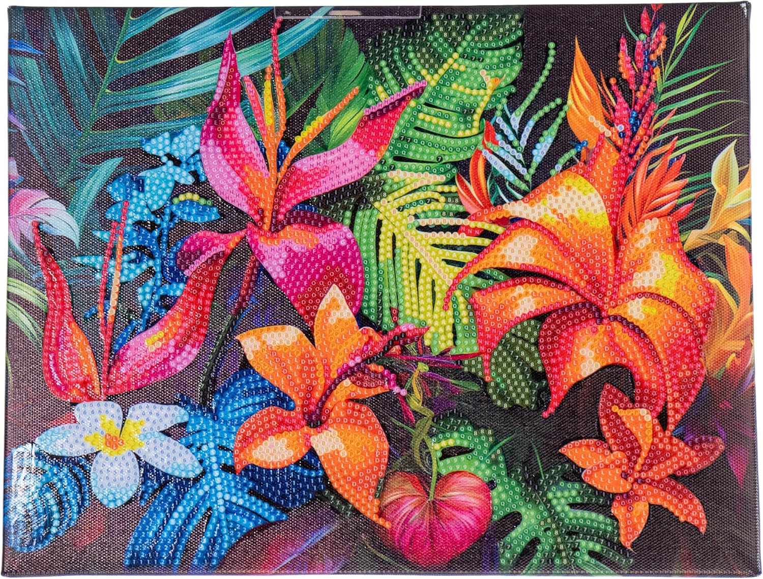 DIAMANTINY - Paint by Numbers Tropical Flowers, Multicoloured, 32 x 30 x 2 cm, 96562