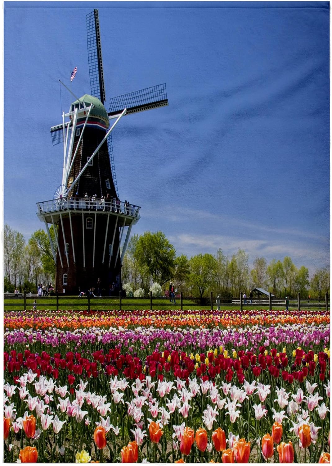 3dRose Windmill Island Park Tulips, Holland, Michigan - US23 DFR0041 - David R. Frazier 22x30 Bath Hand Pool Towel