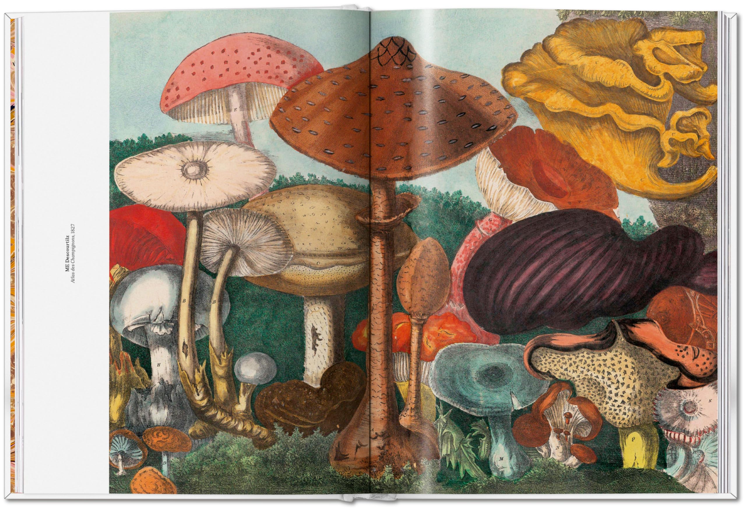 The Gourmand's Mushroom: A Collection of Stories and Recipes