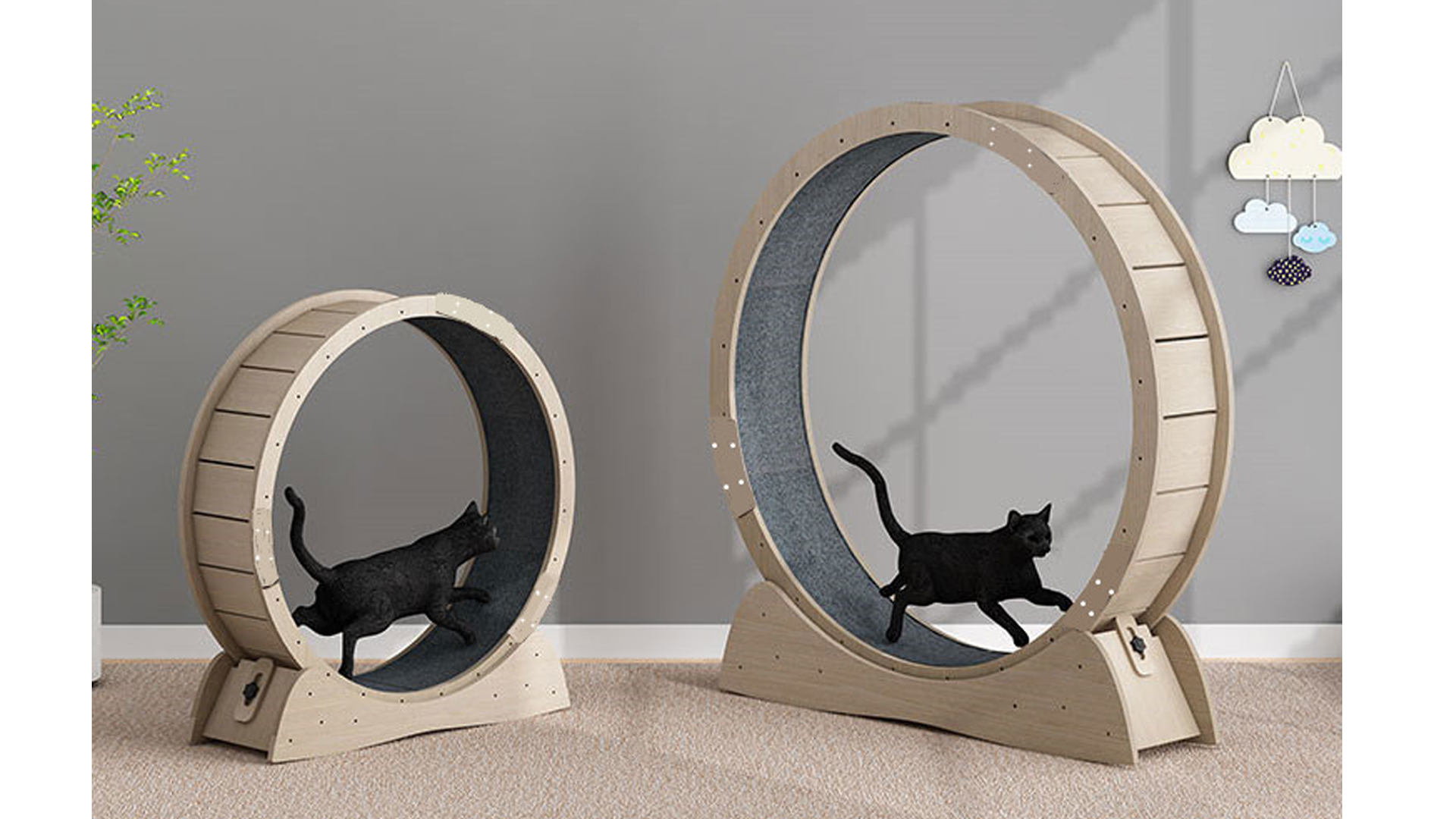 Amazon | キャットホイール 大型 外径 85-120cm 猫のトレッドミル